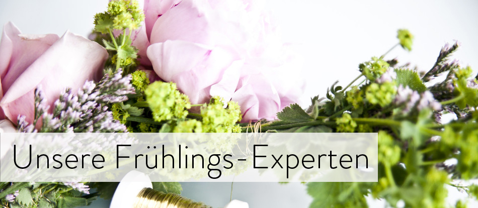Unsere Frühlings-Experten